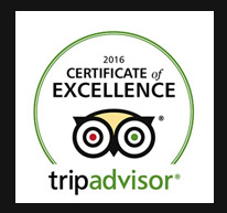 excellece_tripadvisor